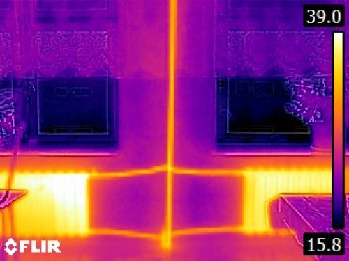 FLIR1000